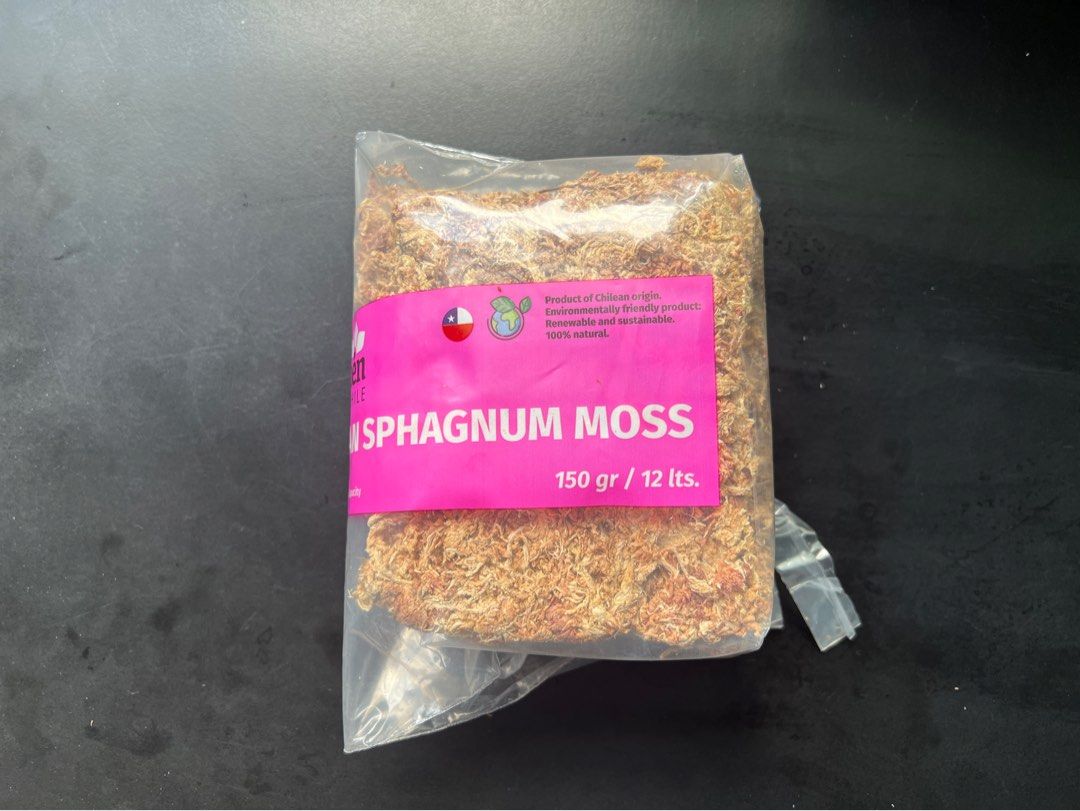 FREE Dry Sphagnum Moss, Furniture & Home Living, Gardening, Plants