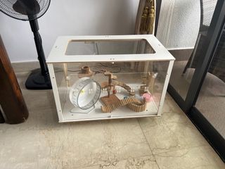 (Category: ) located in . Submitted by madhusud (Listing ID 1206937367, Image 1). Description: .