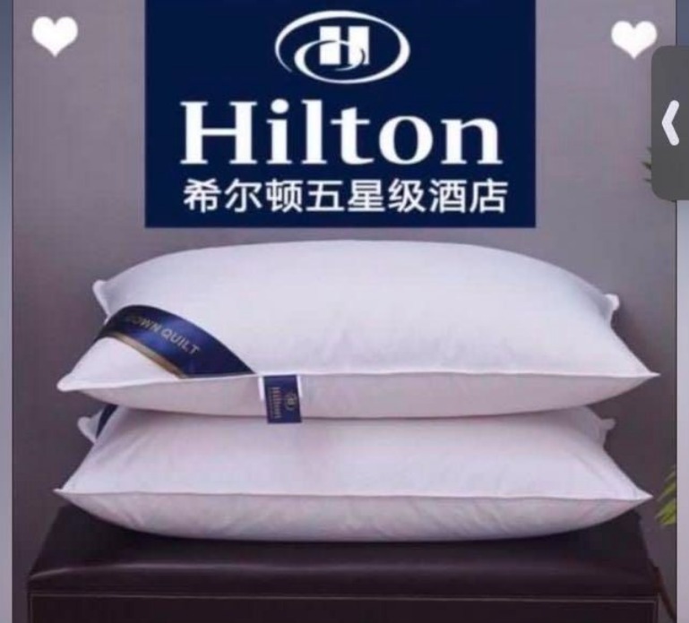 Authentic Choice Hotels' Luminesse Hypoallergenic Green Label Luxury 2 pcs Soft Pillow, White, Standard (Pack of 2