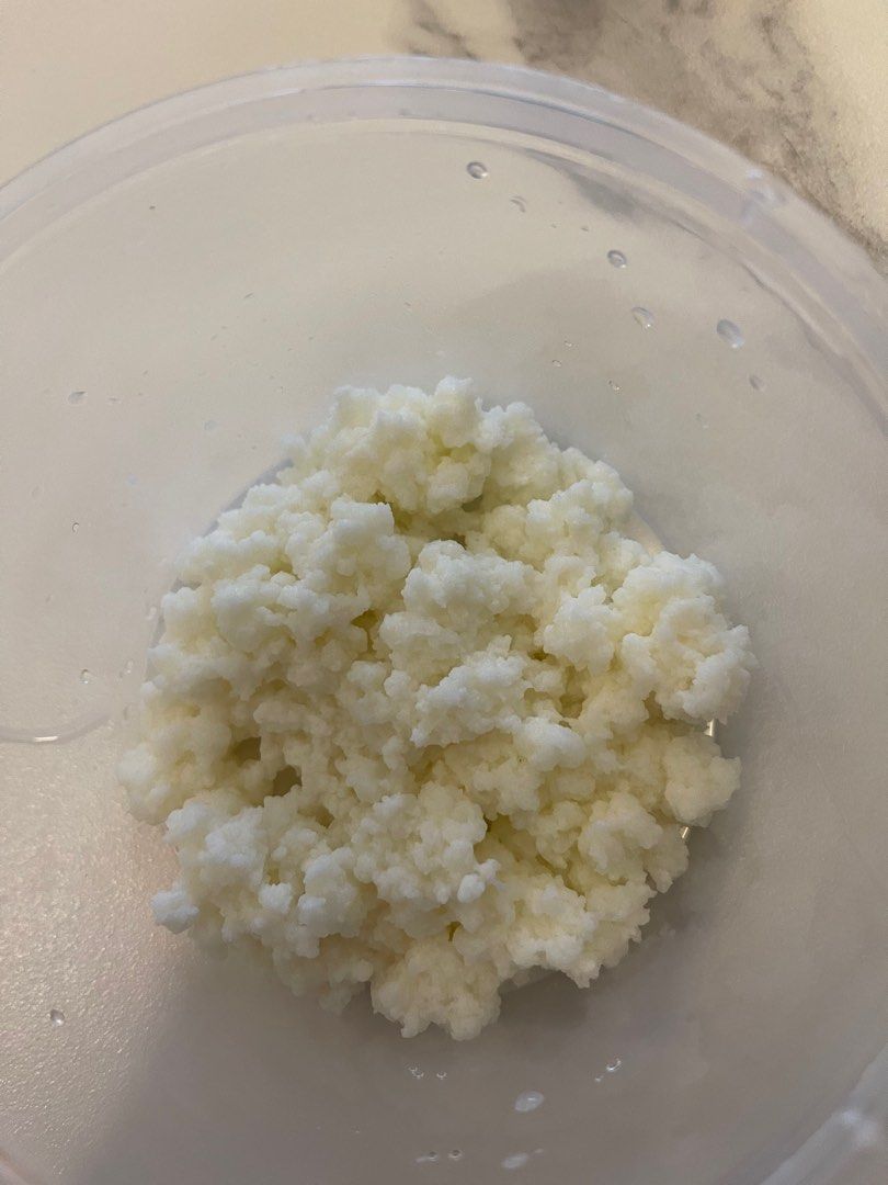 Live Yoghurt Culture for Daily Harvest, Food & Drinks, Other Food