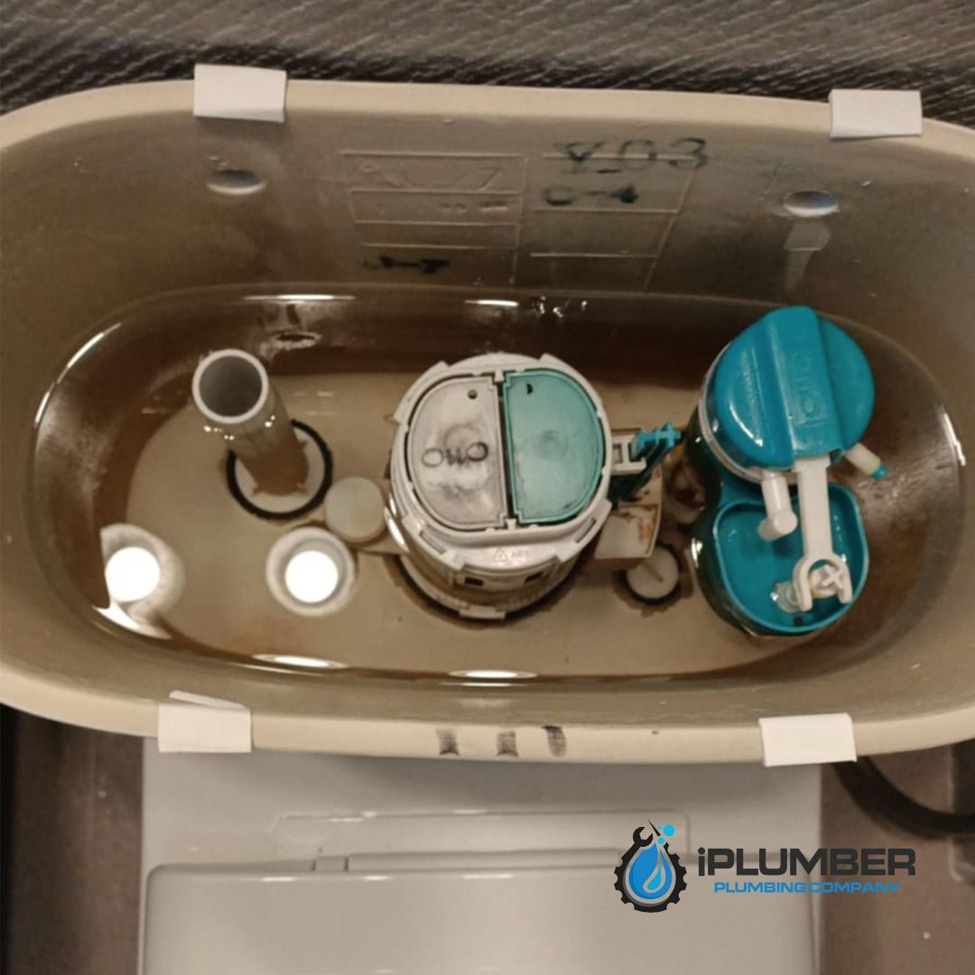 Plumber, toilet tank cistern flushing system, toilet bowl leak and