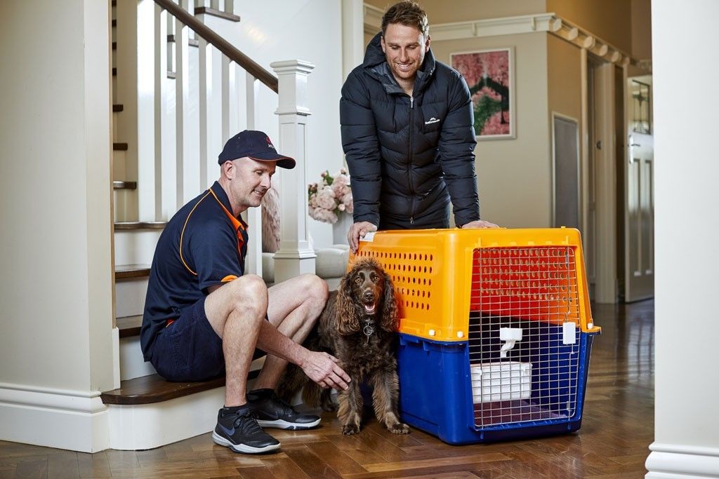 Pp60 dog crate XXL IATA airline approved, Pet Supplies, Homes & Other