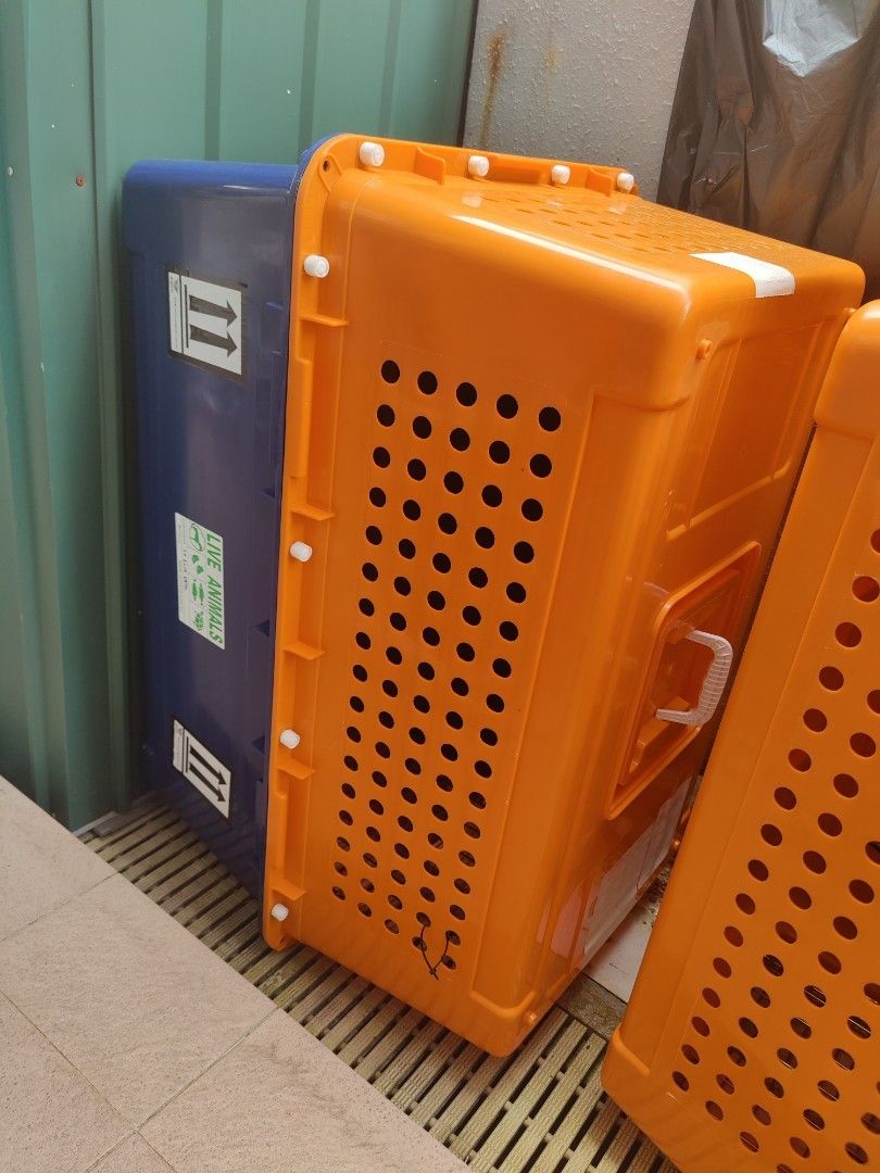 Pp60 dog crate XXL IATA airline approved, Pet Supplies, Homes & Other