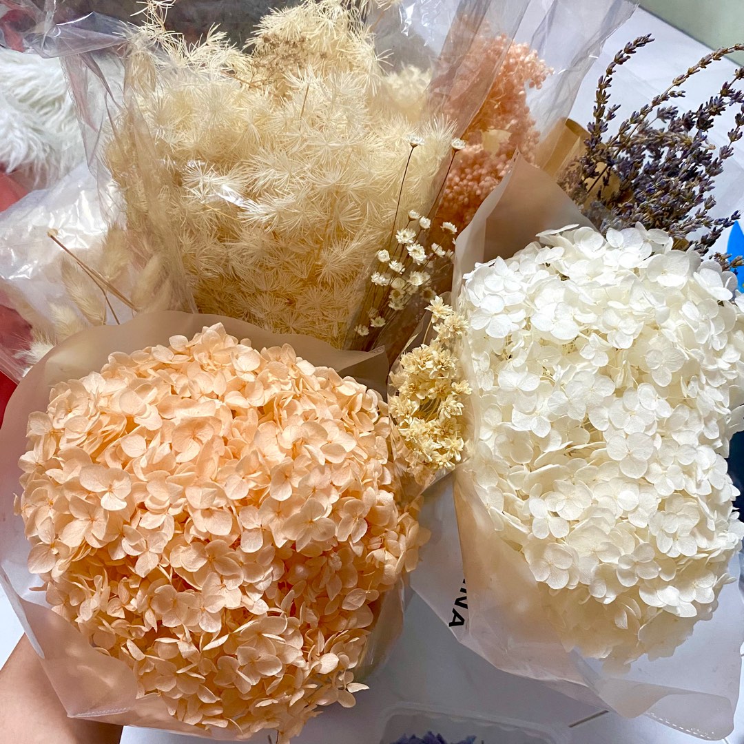 All in Preserved & dried flowers stock, Hobbies & Toys, Stationery