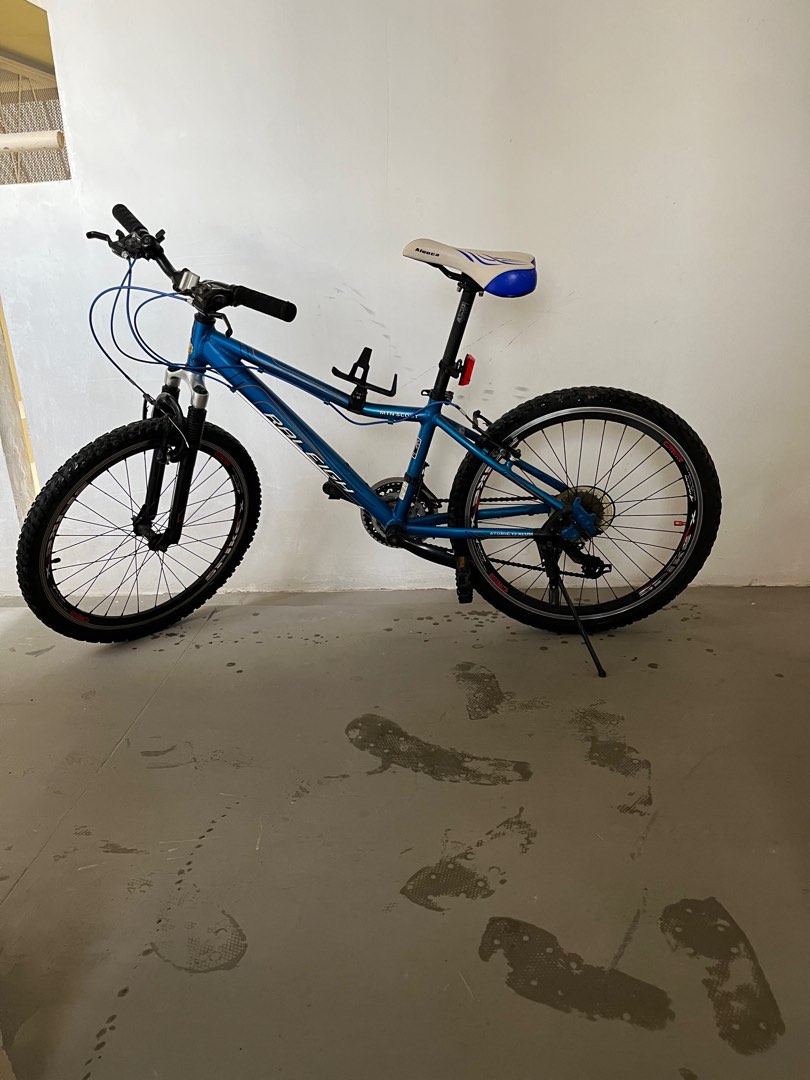Raleigh cheap scout 24