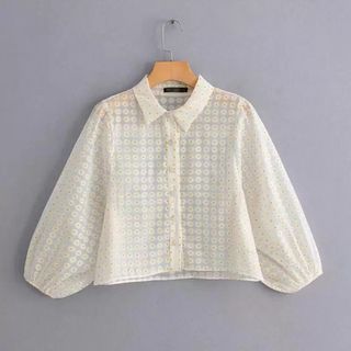 Sheer Daisy Puff Sleeves Blouse
