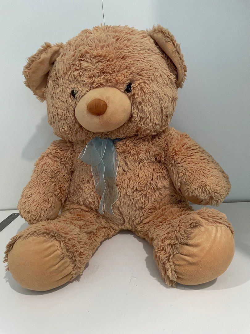 Soft Toy Teddy Bear