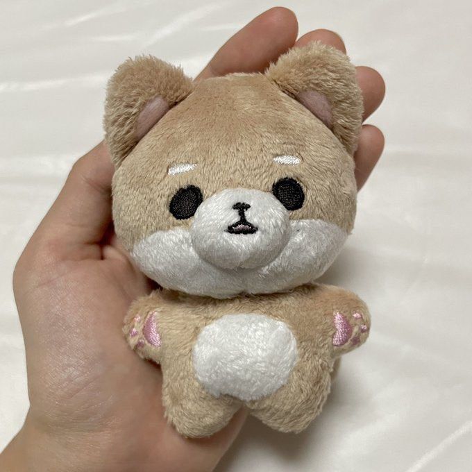 テイル 騒がしく ぬいぐるみ nct 10cm 문탤서 ムンテルソ