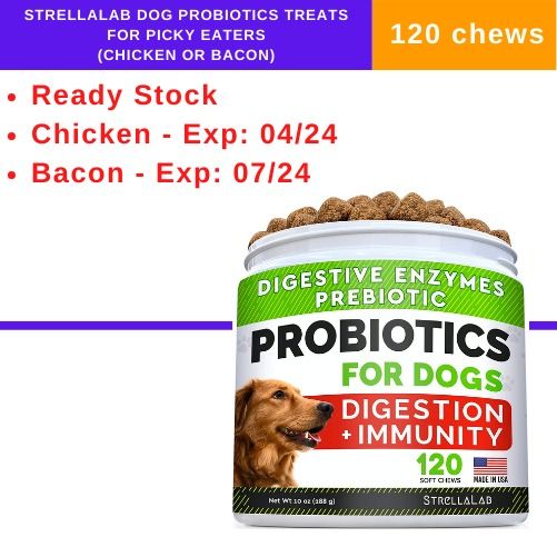 Treats for outlet picky dogs