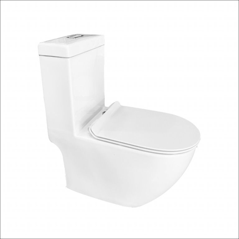 Baron W818 One Piece Rimless WC Toilet Bowl with Geberit Fitting Swiss