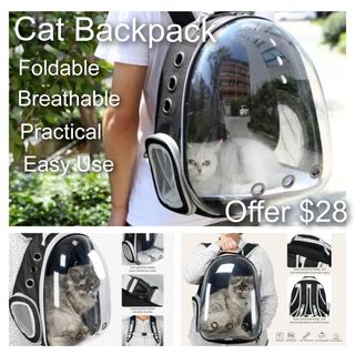 (Category: ) located in . Submitted by petstyle888 (Listing ID 1145828738, Image 1). Description: .