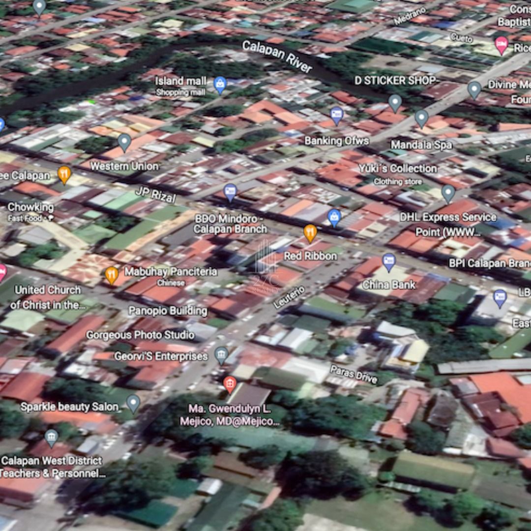 Commercial Lot for Sale in Calapan, Oriental Mindoro, Property, For