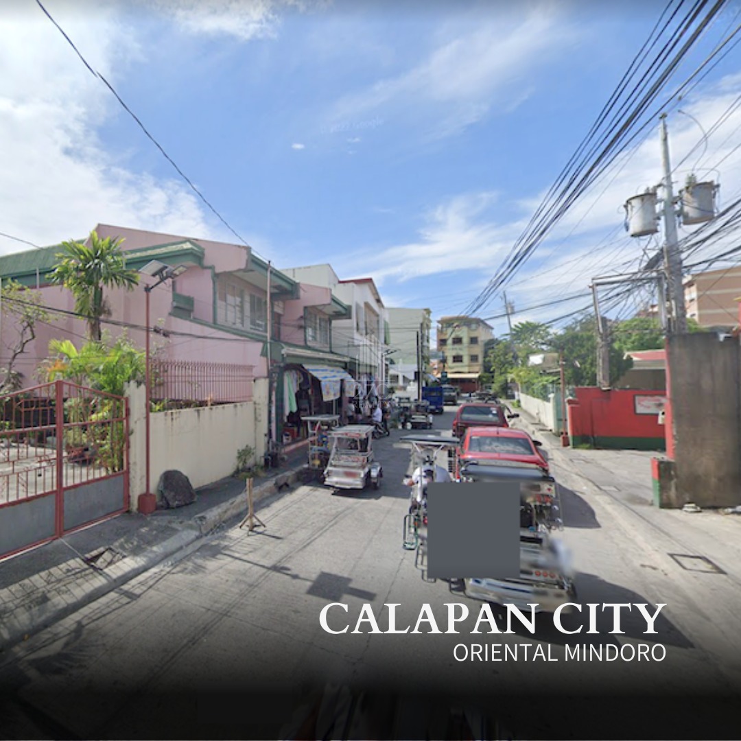 Commercial Lot for Sale in Calapan, Oriental Mindoro, Property, For