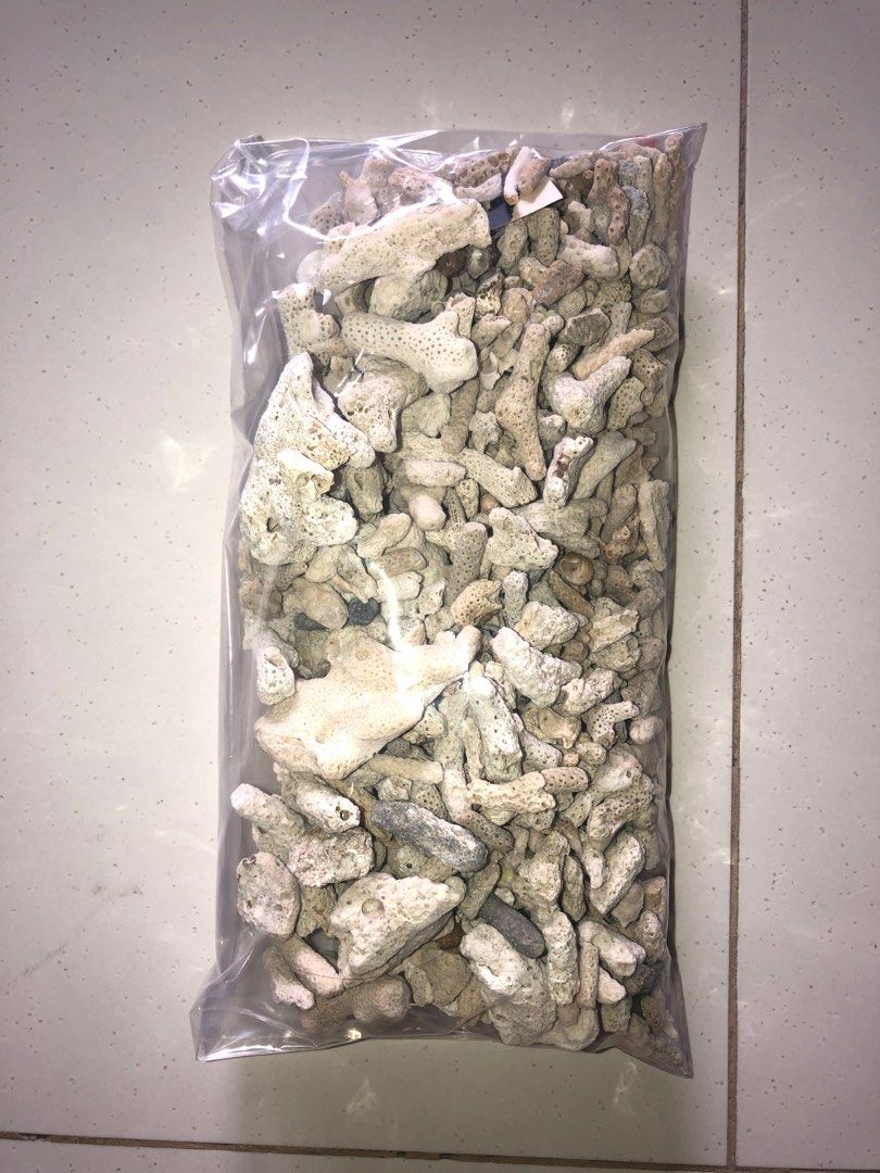 Coral Sand (Aquarium), Pet Supplies, Homes & Other Pet Accessories on