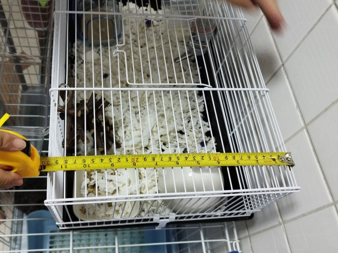Ferplast small animal enclosure, Pet Supplies, Homes & Other Pet Accessories on Carousell Ferplast small animal enclosure, Pet Supplies, Homes & Other Pet Accessories on Carousell