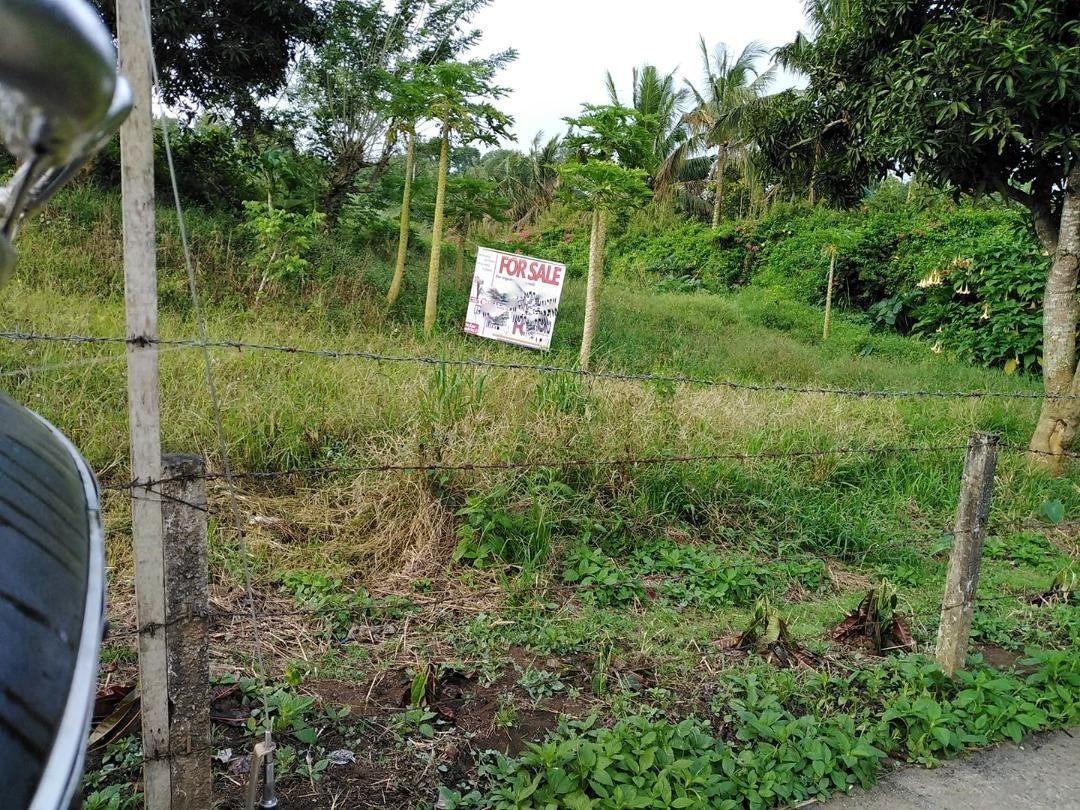 for-sale-2-040-sqm-vacant-lot-in-patutong-malaki-south-tagaytay