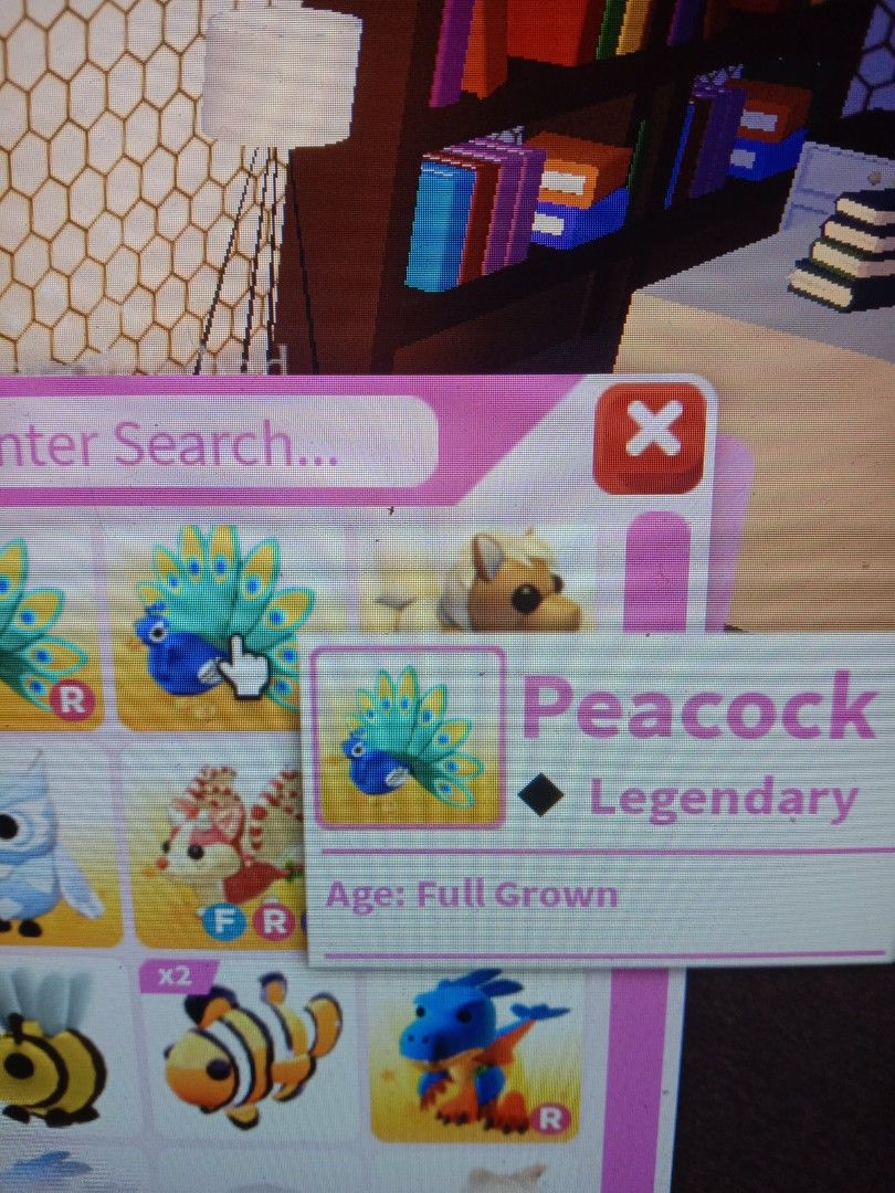 fullgrown peacock adopt me, Video Gaming, Video Games, Others on Carousell