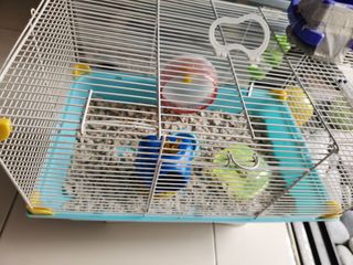 (Category: ) located in . Submitted by tay06 (Listing ID 1210666036, Image 1). Description: .