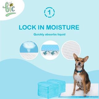 [HOT SELL] Absorbent Pet Training Pads Disposable Pee Diaper for Dogs, Cats, Rabbits, Birds and Small Animals (S,M,L,XL)