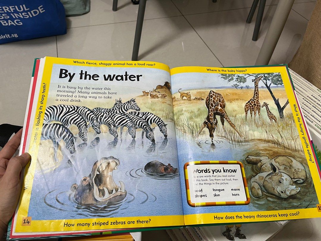 Learning ladders world books, Hobbies & Toys, Books & Magazines