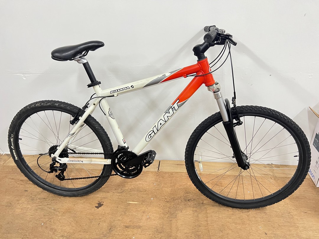 Giant iguana Mountain Bike, Sports Equipment, Bicycles & Parts