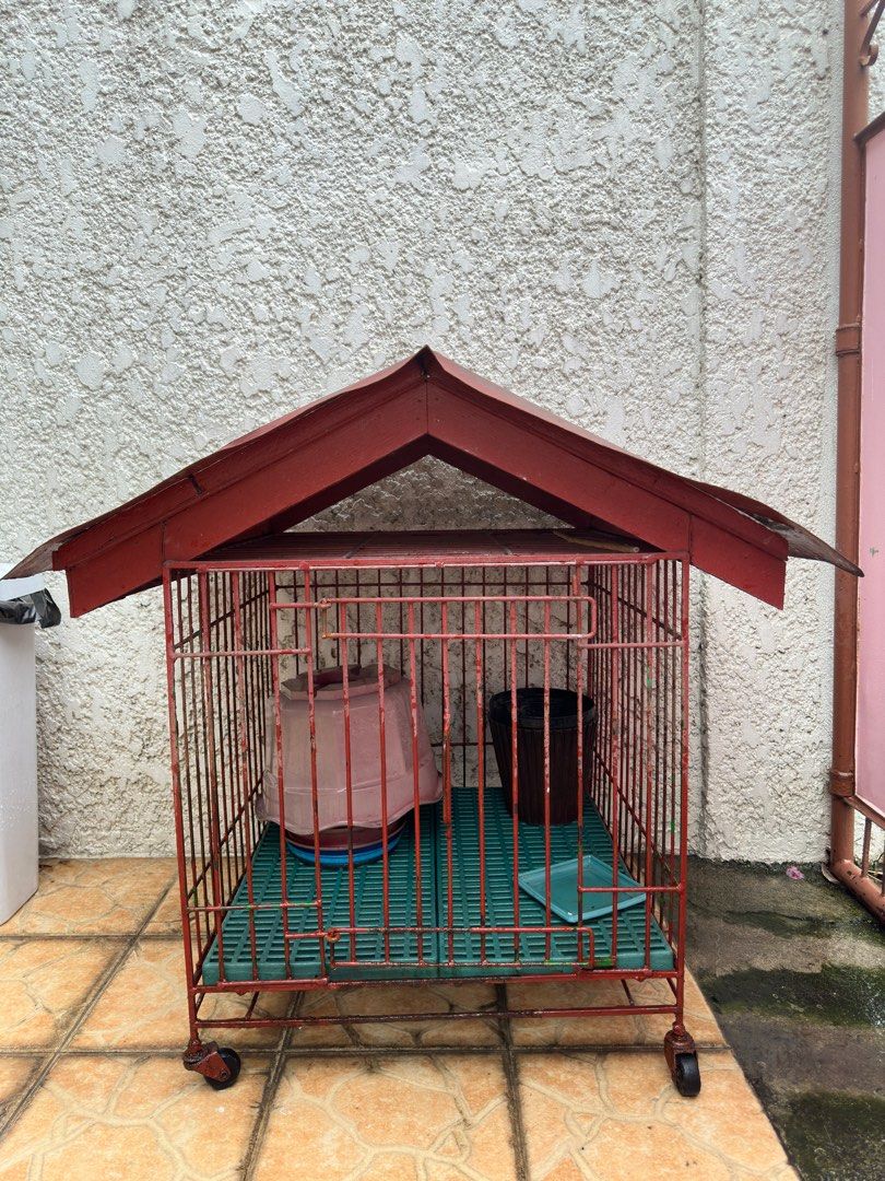 Dog hotsell pinjra price