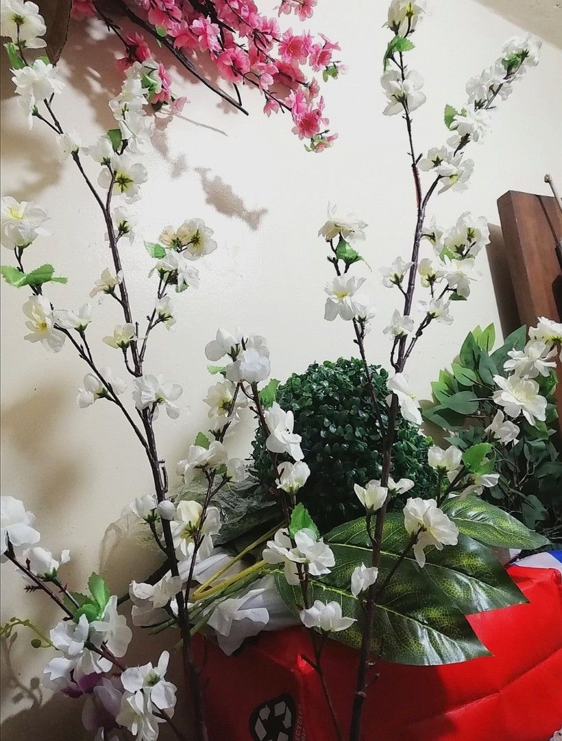 Sakura Artificial Cherry Blossoms long stem, Hobbies & Toys, Stationary