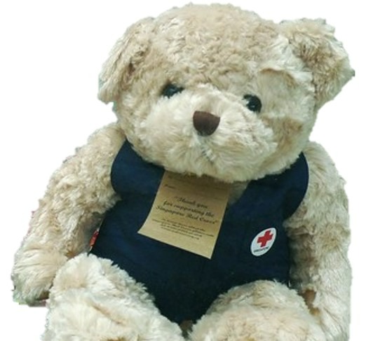 Red cross cheap teddy bear