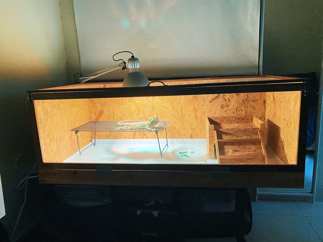 Bearded Dragon With Enclosure and Solar Glo, Pet Supplies, Homes