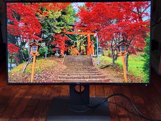 (Category: ) located in . Submitted by w.a.r. (Listing ID 1210860175, Image 1). Description: .