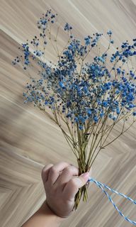 (Category: ) located in . Submitted by watermeloncoffee (Listing ID 1210896087, Image 1). Description: .