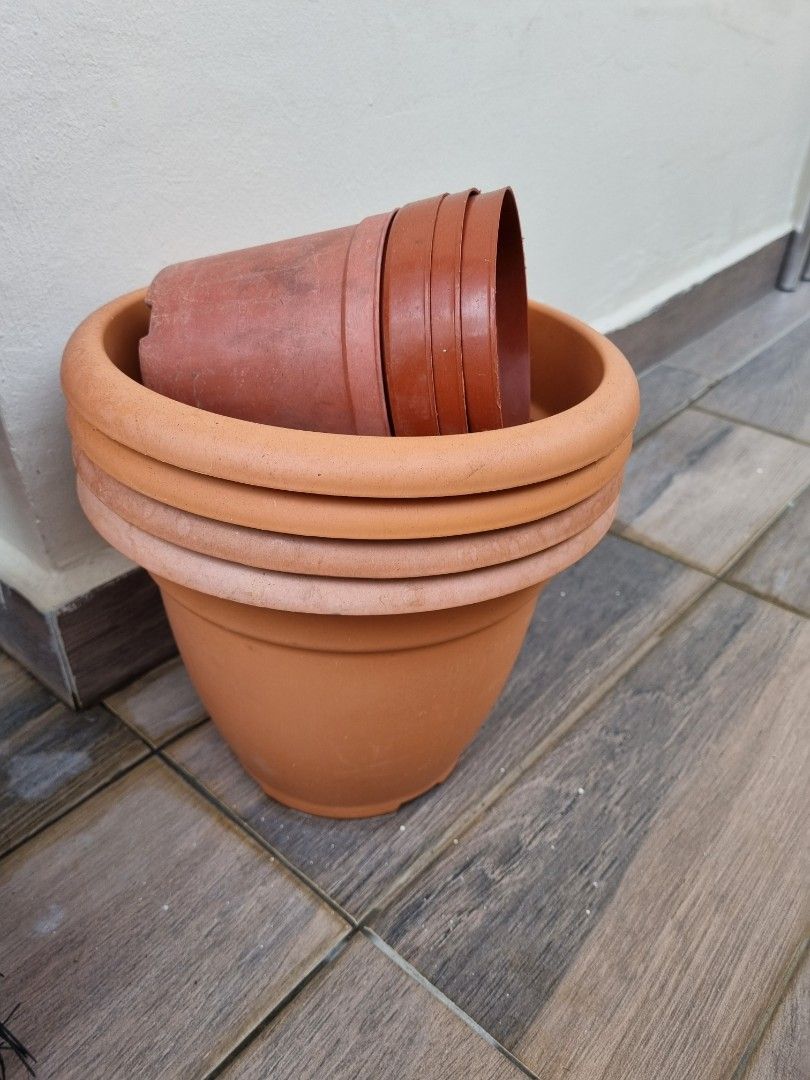 Free pots, Furniture & Home Living, Gardening, Pots & Planters on Carousell