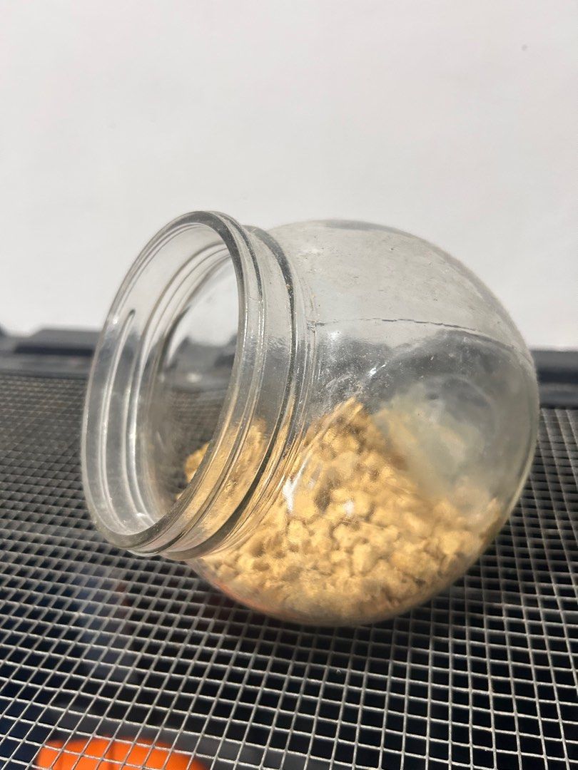 Hamster's Accessories (Category: Homes & Other Pet Accessories) located in Mandaluyong City. Submitted by stuff_coollection (Listing ID 1210845053, Image 3). Description: Take all for 600php only -Flying saucer -Slanted Jar -Hide (House) -Ceramic Bowl.