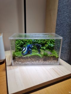 (Category: ) located in . Submitted by aikhuat1951 (Listing ID 1210800284, Image 1). Description: .