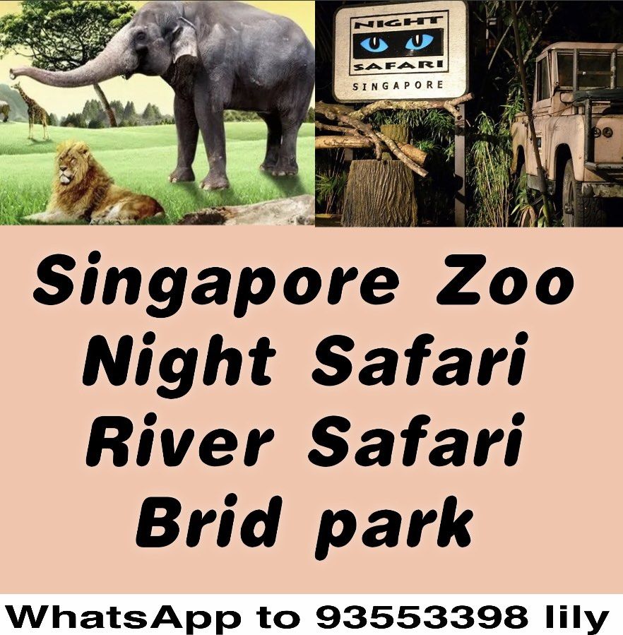 singapore zoo night safari tickets