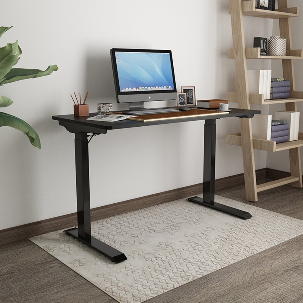 Standard Electric Height Adjustable Standing Desk / Ergonomic / Desk ...