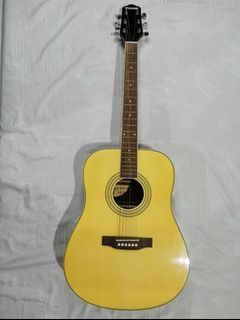 Acoustic Guitar Set (Fernando)