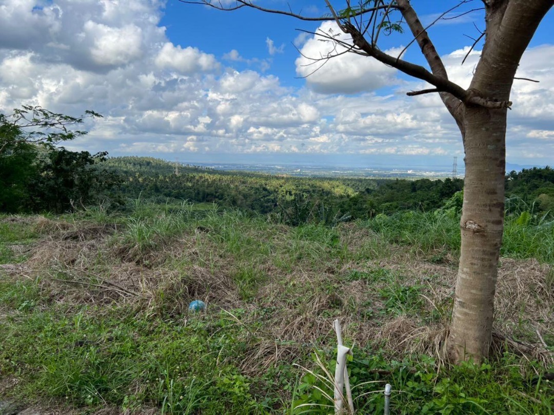 ASPEN HILLS TAGAYTAY HIGHLANDS LOT WITH VIEW FOR SALE, Property, For
