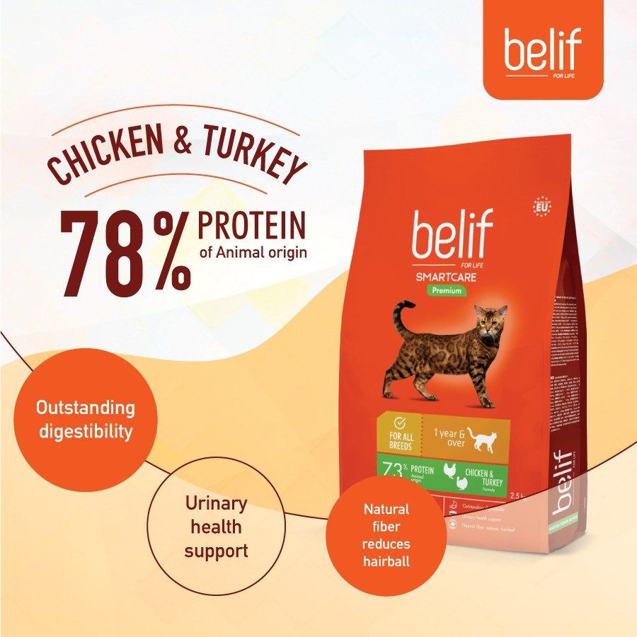 Belif cat food 2025