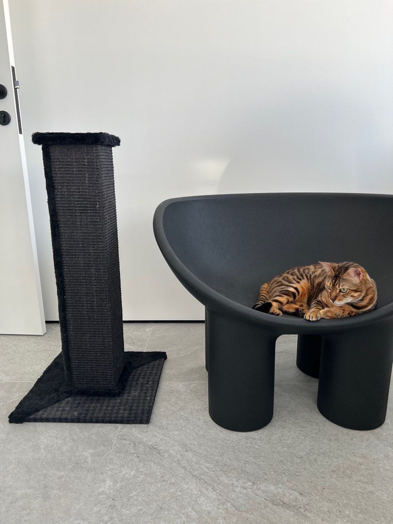 Black cat scratching post discount