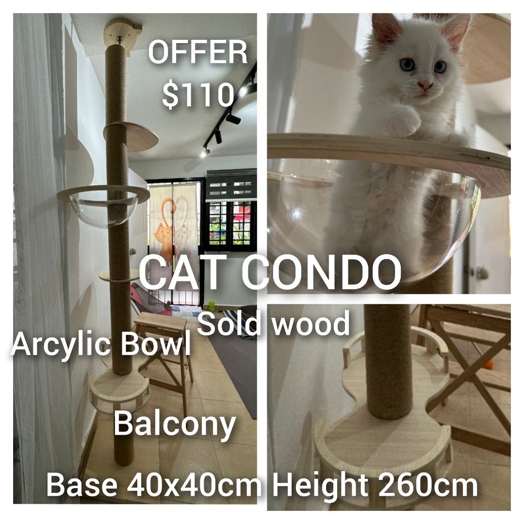 Single outlet cat condo