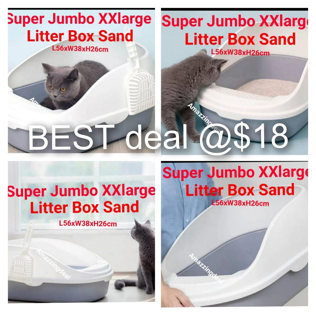Playground sand top for cat litter