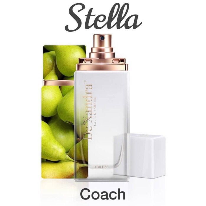 Dxandra perfume 2025