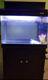 (Category: ) located in . Submitted by the_gooner (Listing ID 1210984293, Image 1). Description: .