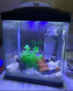 (Category: ) located in . Submitted by forgetpw (Listing ID 1210999757, Image 1). Description: .