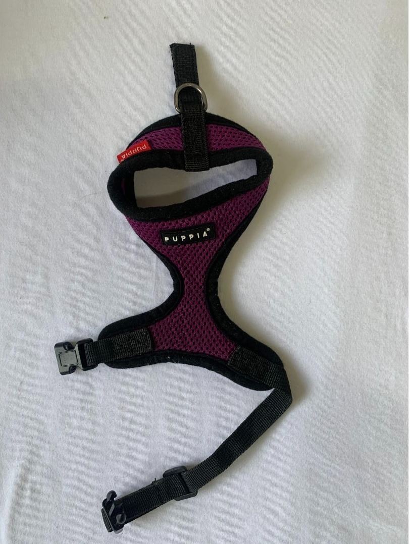 Puppia Dog Harness, Pet Supplies, Homes & Other Pet Accessories on