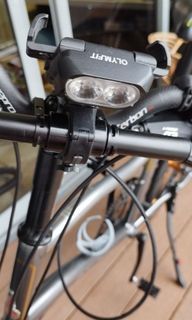 Raleigh Mini Velo