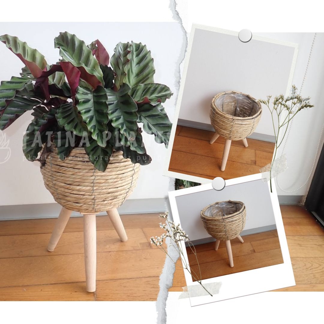 Seagrass Basket Plant Stand with Removable Legs 'D', Furniture & Home