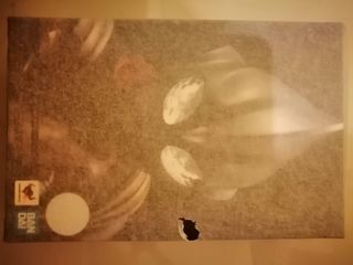 (Category: ) located in . Submitted by vt264 (Listing ID 1211043219, Image 1). Description: .