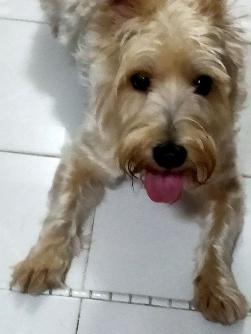 Standalone Master Bedroom for Rent Ubi Ave 1, Property, Rentals, Room